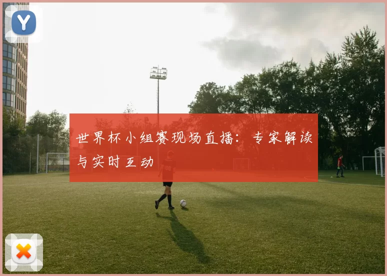 世界杯小组赛现场直播：专家解读与实时互动