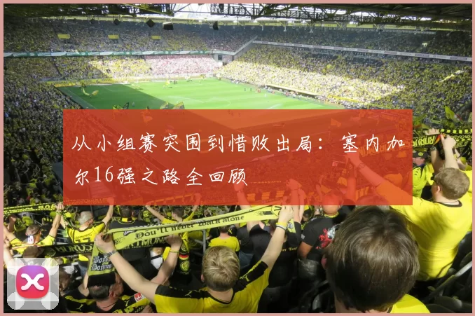 从小组赛突围到惜败出局：塞内加尔16强之路全回顾