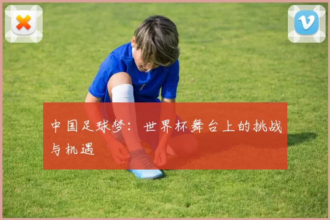 中国足球梦：世界杯舞台上的挑战与机遇