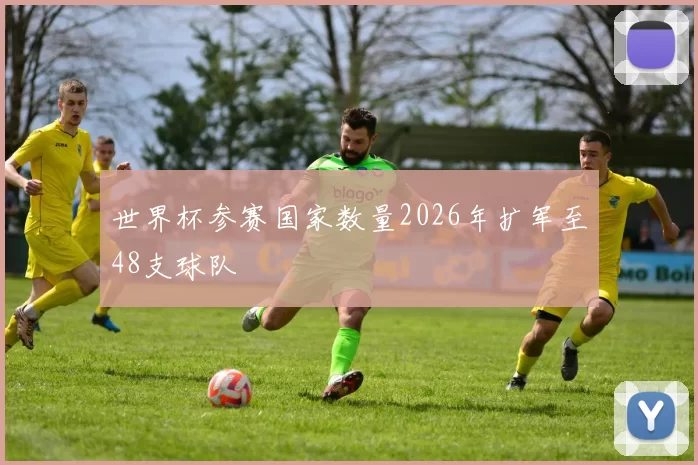世界杯参赛国家数量2026年扩军至48支球队