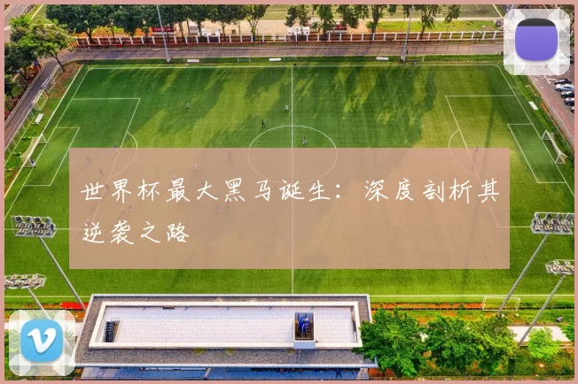 世界杯最大黑马诞生：深度剖析其逆袭之路