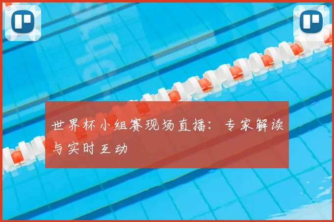 世界杯小组赛现场直播:专家解读与实时互动