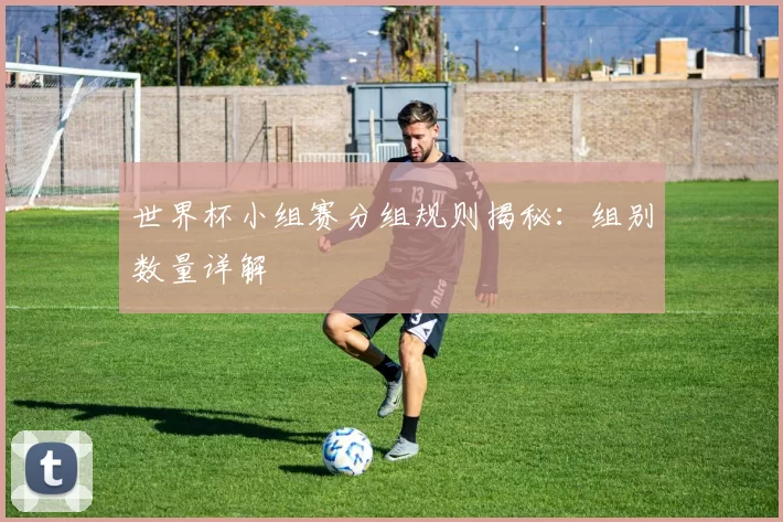 世界杯小组赛分组规则揭秘：组别数量详解