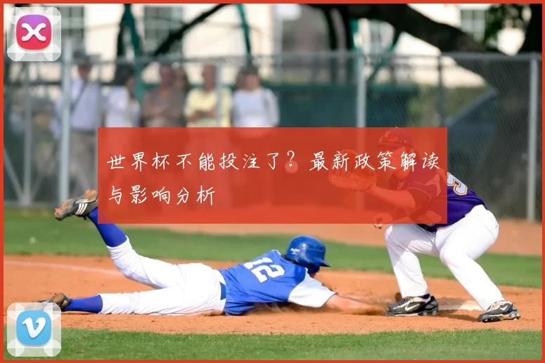 世界杯不能投注了？最新政策解读与影响分析