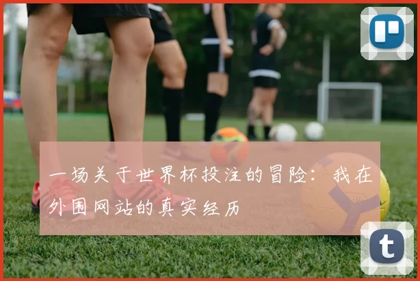 一场关于世界杯投注的冒险：我在外围网站的真实经历