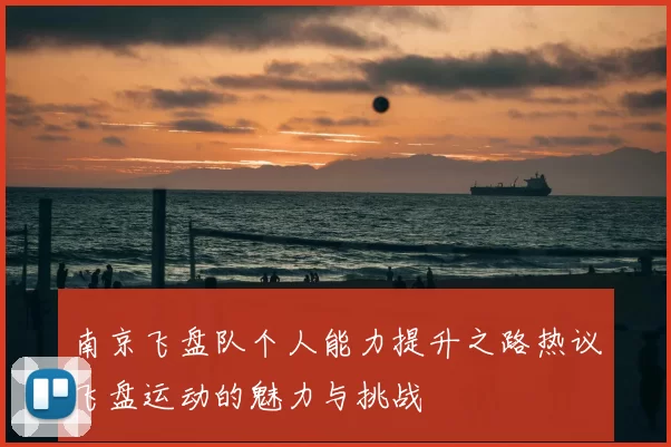 南京飞盘队个人能力提升之路热议飞盘运动的魅力与挑战