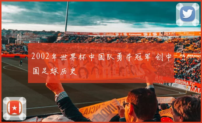 2002年世界杯中国队勇夺冠军 创中国足球历史