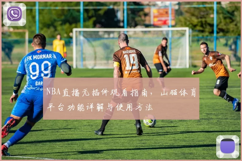 NBA直播无插件观看指南，山猫体育平台功能详解与使用方法