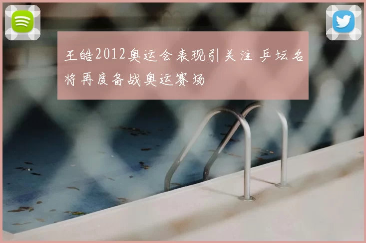 王皓2012奥运会表现引关注 乒坛名将再度备战奥运赛场