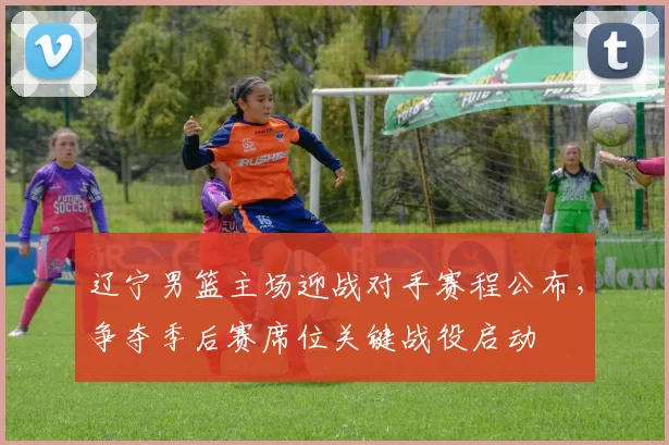 辽宁男篮主场迎战对手赛程公布，争夺季后赛席位关键战役启动